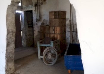 Foto 5 - Magazzino Conselice - foto 5