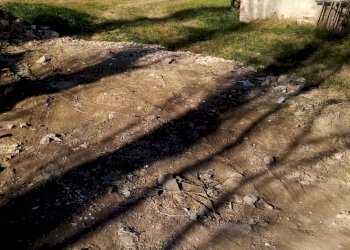 Foto 6 - Magazzino Conselice - foto 6