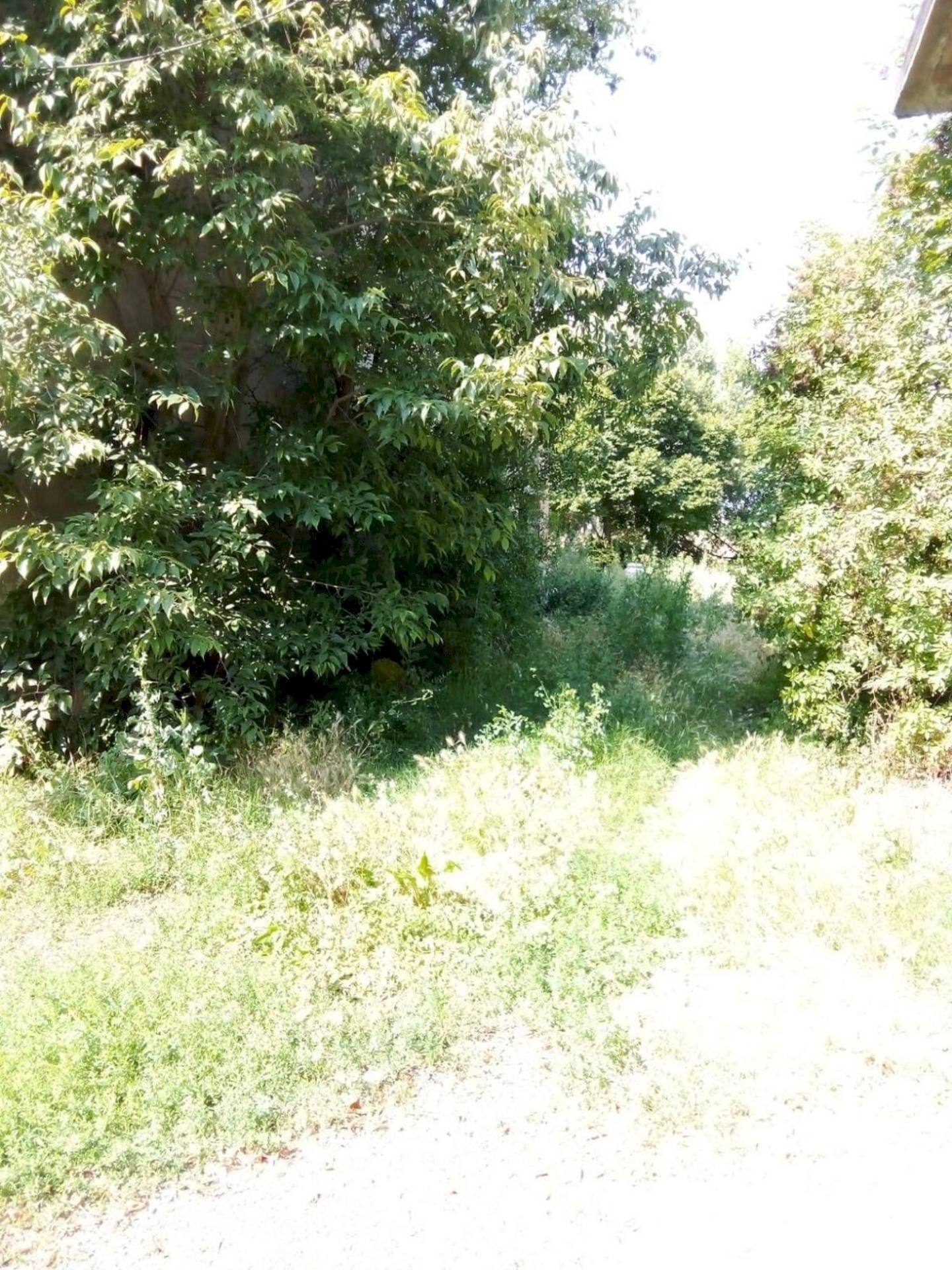 Foto 2 - Rustic Lugo - photo 2