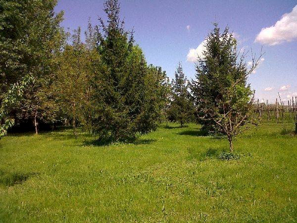 Foto 3 - Rustic Lugo - photo 3