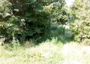 Foto 2 - Rustico Lugo - foto 2