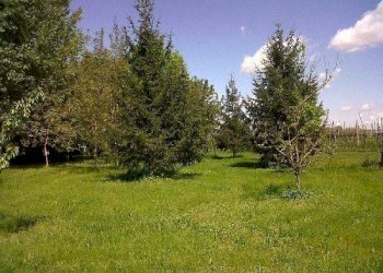 Foto 3 - Rustico Lugo - foto 3