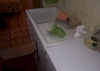 Foto 2 - Bilocale Lugo - foto 2