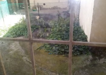 Foto 11 - Bilocale Lugo - foto 11