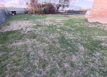 Foto 4 - Independent house Cotignola - photo 4