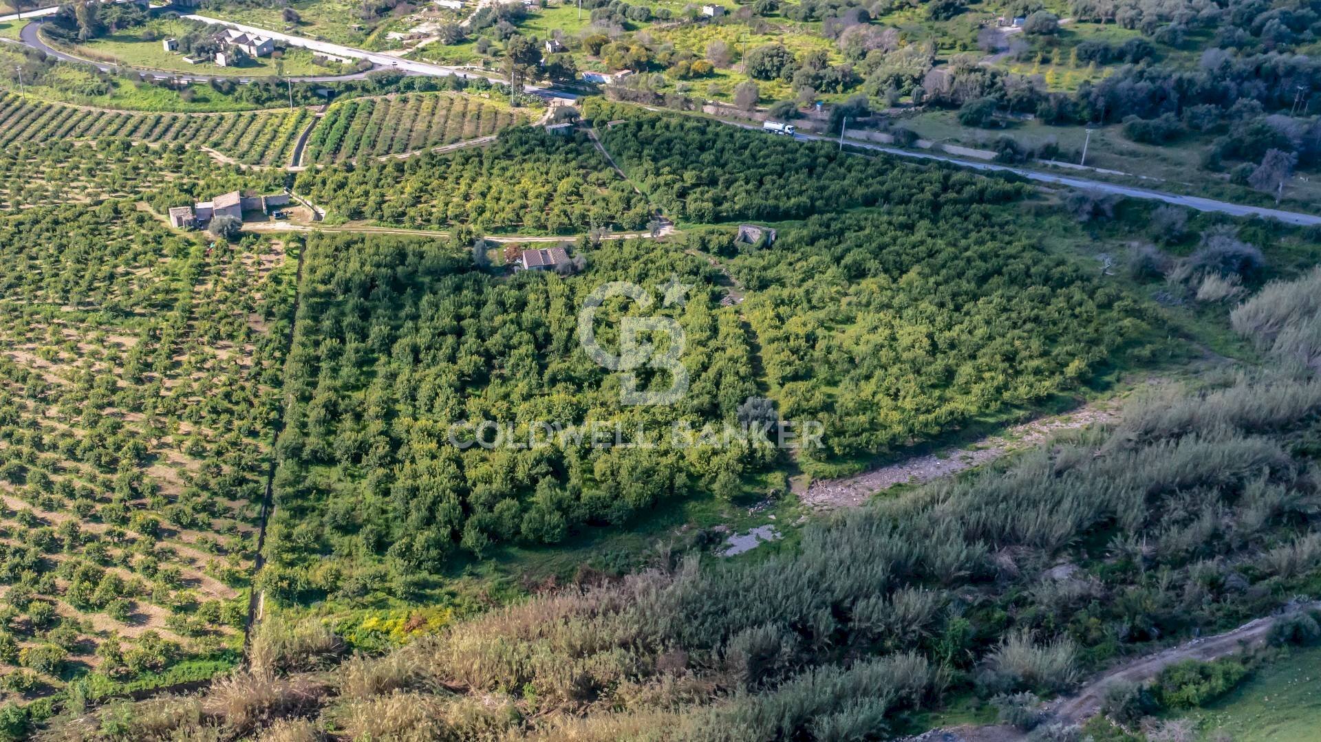 Foto 2 - Terreno agricolo Strada Provinciale 2
0, Melilli - foto 2