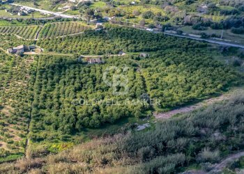 Foto 2 - Terreno agricolo Strada Provinciale 2
 
0, Melilli - foto 2