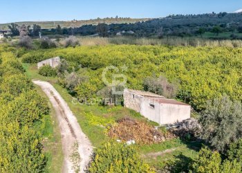 Foto 8 - Terreno agricolo Strada Provinciale 2
 
0, Melilli - foto 8