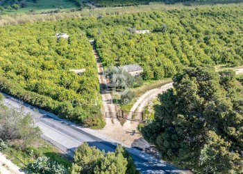 Foto 11 - Terreno agricolo Strada Provinciale 2
 
0, Melilli - foto 11