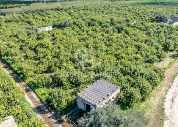 Foto 12 - Terreno agricolo Strada Provinciale 2
 
0, Melilli - foto 12