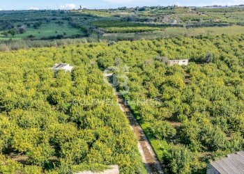 Foto 13 - Terreno agricolo Strada Provinciale 2
 
0, Melilli - foto 13