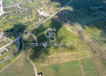 Foto 15 - Terreno agricolo Strada Provinciale 2
 
0, Melilli - foto 15