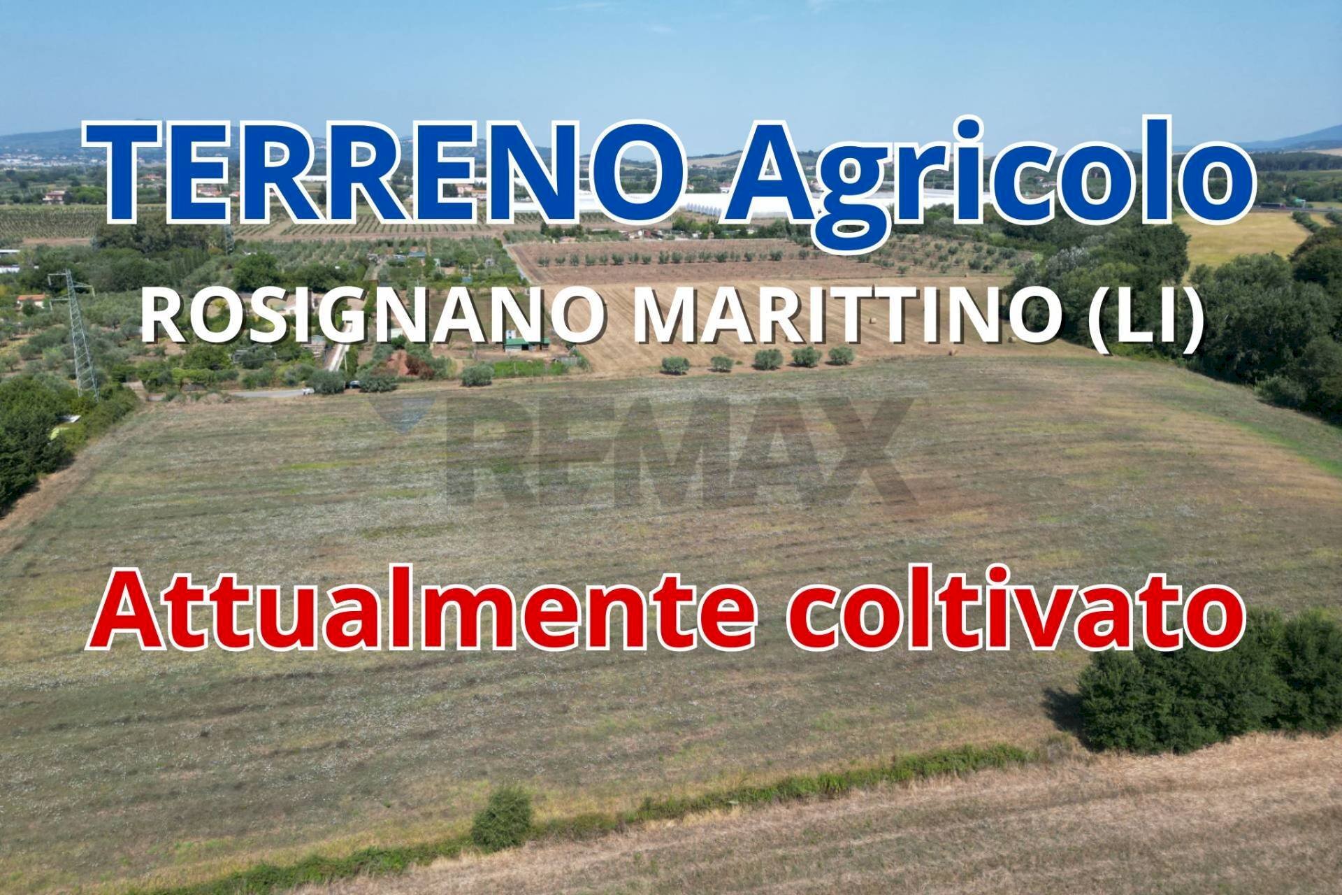 Non correlato - Terreno agricolo stradone del tripesce, Rosignano Marittimo - foto 1