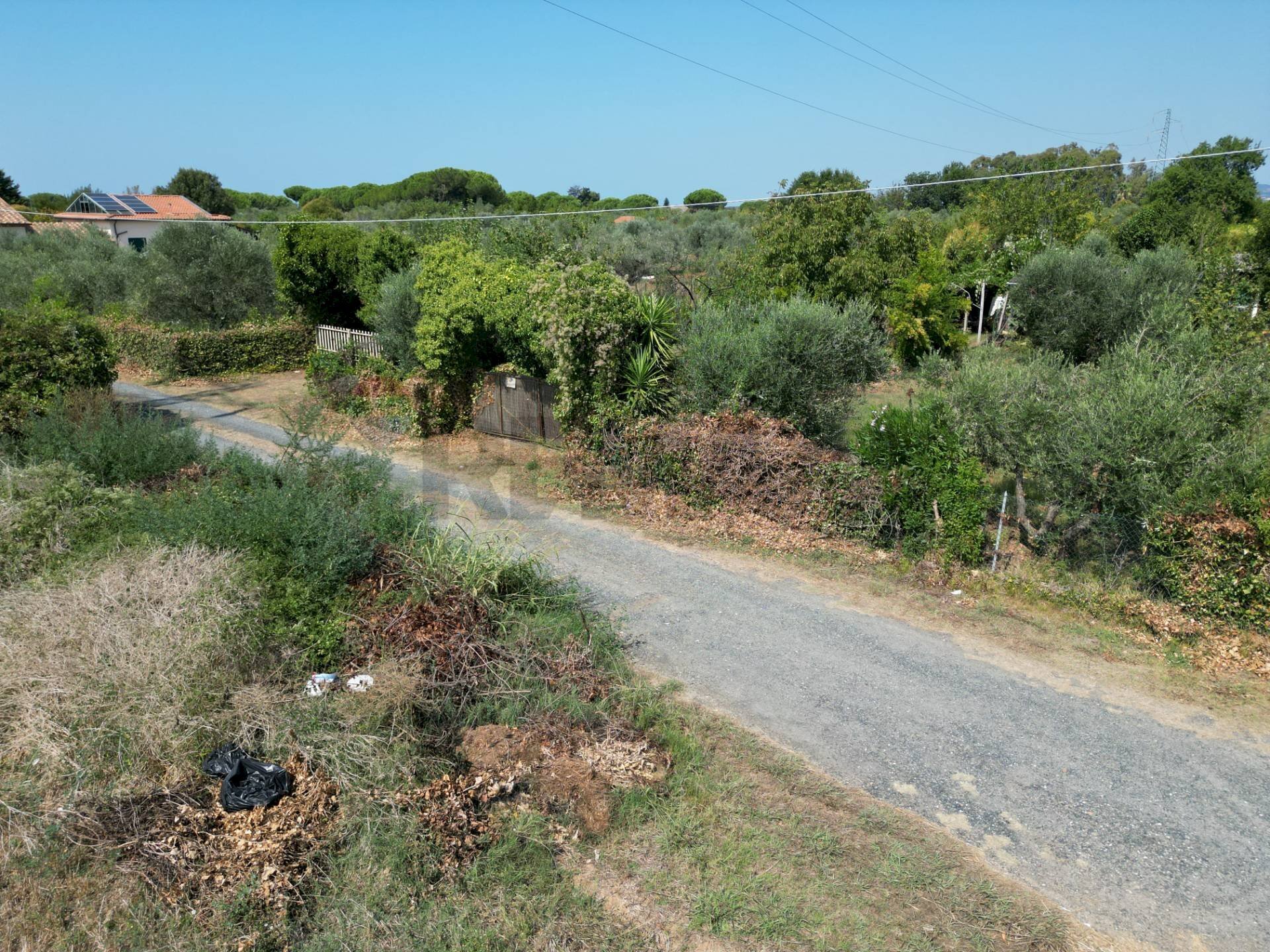 Giardino - Terreno agricolo stradone del tripesce, Rosignano Marittimo - foto 3