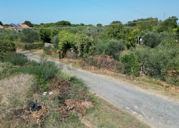 Giardino - Terreno agricolo stradone del tripesce, Rosignano Marittimo - foto 3