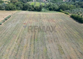 Vista delle montagne - Terreno agricolo stradone del tripesce, Rosignano Marittimo - foto 7