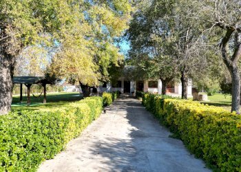 Giardino - Casa indipendente strada formicosa
 
1106, Sabaudia - foto 6