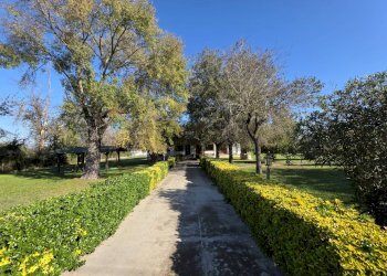 Giardino - Casa indipendente strada formicosa
 
1106, Sabaudia - foto 9