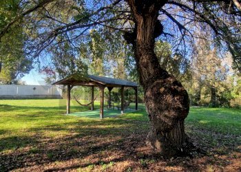 Giardino - Casa indipendente strada formicosa
 
1106, Sabaudia - foto 12