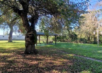 Giardino - Casa indipendente strada formicosa
 
1106, Sabaudia - foto 14