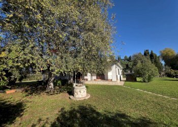 Giardino - Casa indipendente strada formicosa
 
1106, Sabaudia - foto 17