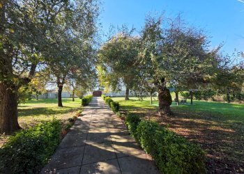 Giardino - Casa indipendente strada formicosa
 
1106, Sabaudia - foto 18