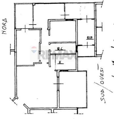 Pianta 2D - Quadrilocale Sabaudia - planimetria 1