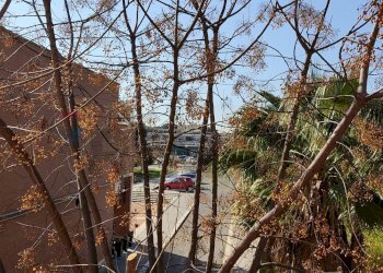 Edificio all\'aperto - Appartamento Sabaudia - foto 4