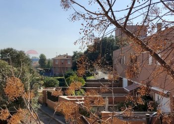 Edificio all\'aperto - Appartamento Sabaudia - foto 7