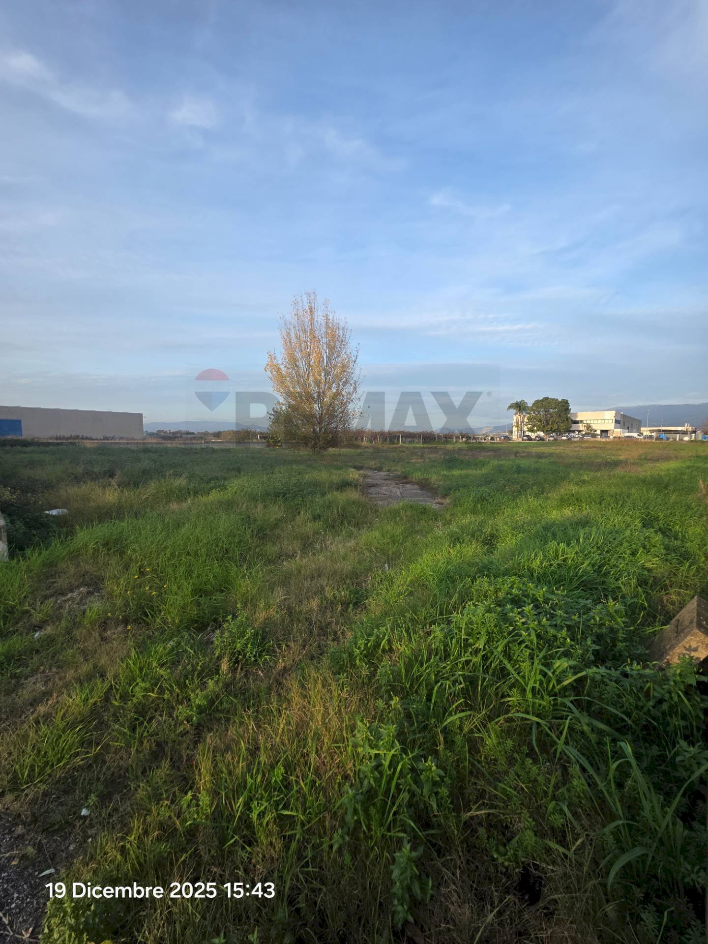 Giardino - Building land Cisterna di Latina - photo 2