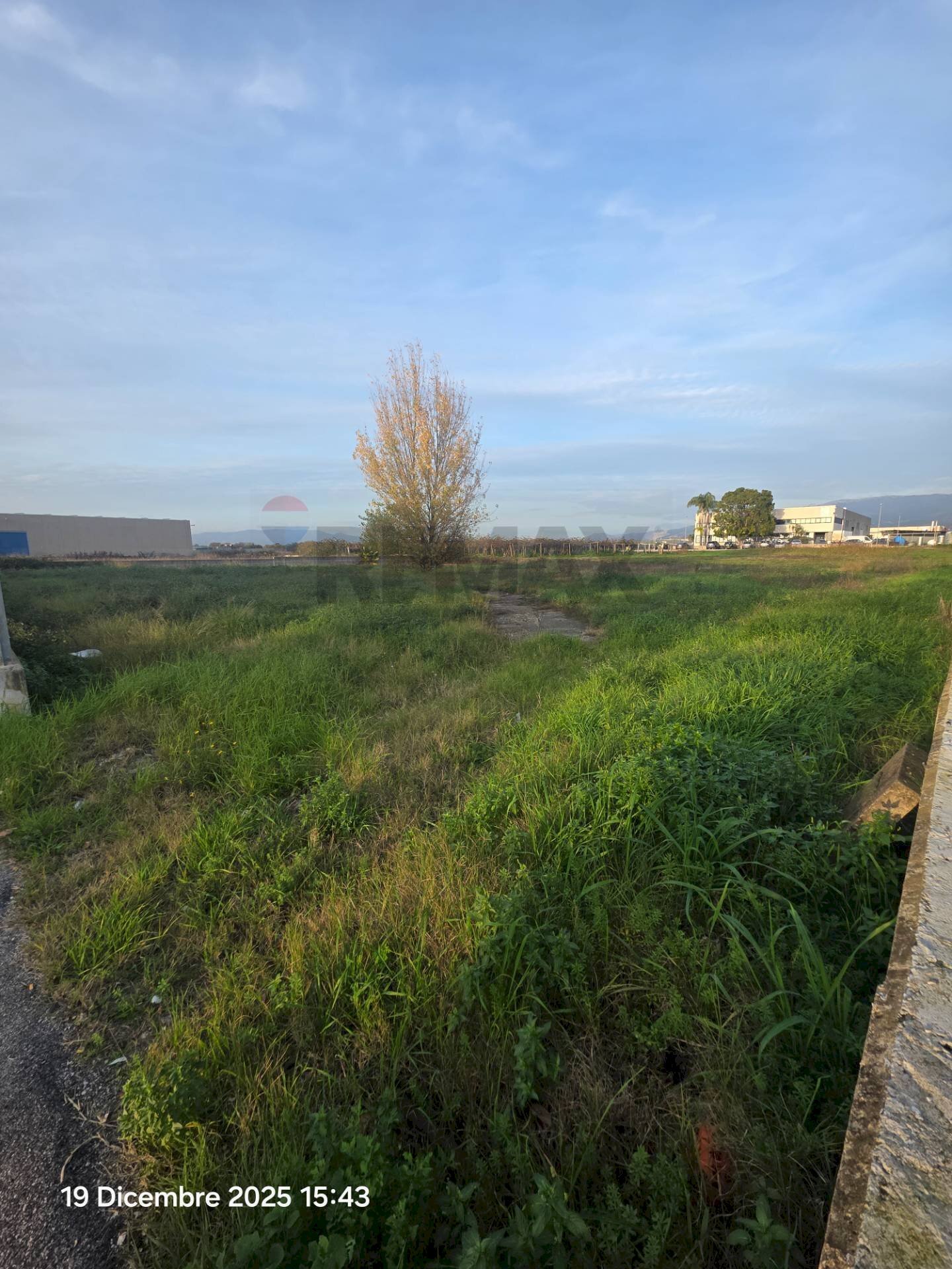 Giardino - Building land Cisterna di Latina - photo 3