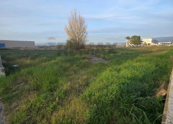 Giardino - Building land Cisterna di Latina - photo 3