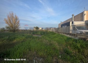 Giardino - Building land Cisterna di Latina - photo 6