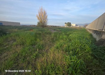 Giardino - Building land Cisterna di Latina - photo 7