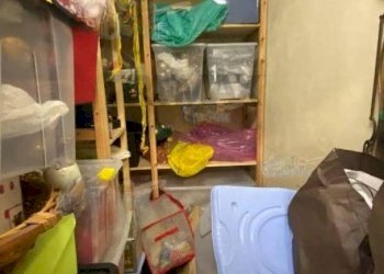 Dispensa di stoccaggio - Appartamento Roma - foto 17