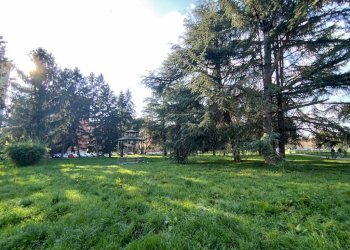 Terreno - Four-room apartment via Fosse Ardeatine, 2, Rho - photo 39