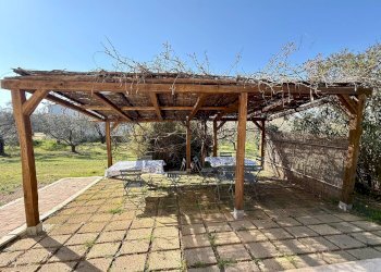 Foto 19 - Rustico Strada, Capalbio - foto 19