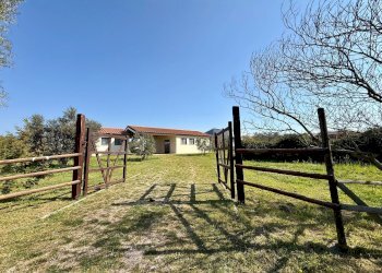 Foto 21 - Rustico Strada, Capalbio - foto 21