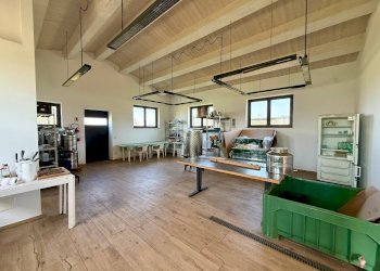 Foto 22 - Rustico Strada, Capalbio - foto 22