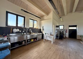 Foto 24 - Rustico Strada, Capalbio - foto 24