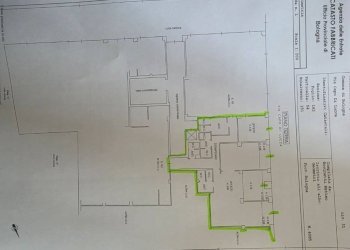 Planimetria - Shop via Capo di Lucca, 31, Bologna (neighborhood Irnerio) - photo 3