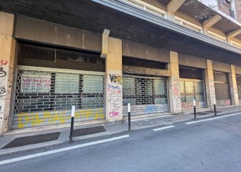 Interno non residenziale - Shop via Capo di Lucca, 31, Bologna (neighborhood Irnerio) - photo 5