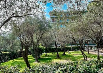 Giardino - Appartamento via Stefano Prasca, Genova (zona Quarto) - foto 17