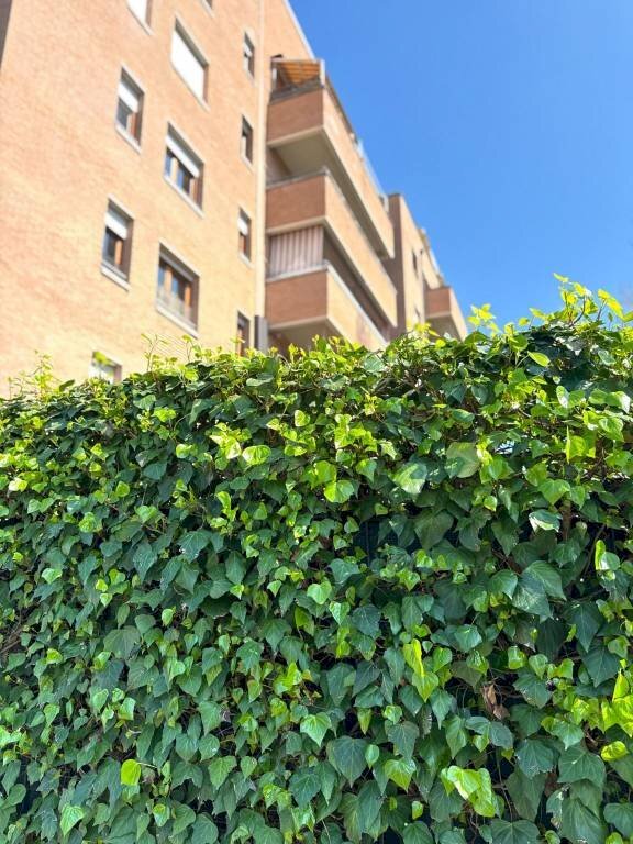 Facciata - Four-room apartment via dei Canonici Renani, 2, Casalecchio di Reno - photo 3