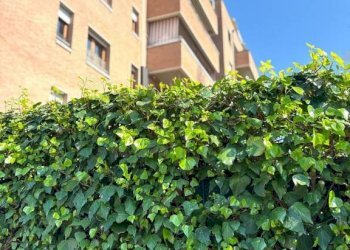 Facciata - Quadrilocale via dei Canonici Renani, 2, Casalecchio di Reno - foto 4