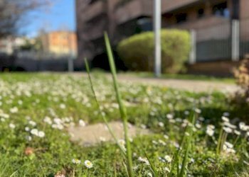 Giardino - Quadrilocale via dei Canonici Renani, 2, Casalecchio di Reno - foto 1