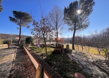 Foto 8 - Casa indipendente C.da Cannete, Vinchiaturo - foto 8