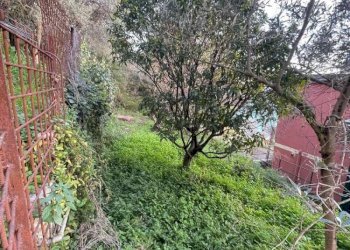 TERRENO - Appartamento Genova (zona Nervi) - foto 4