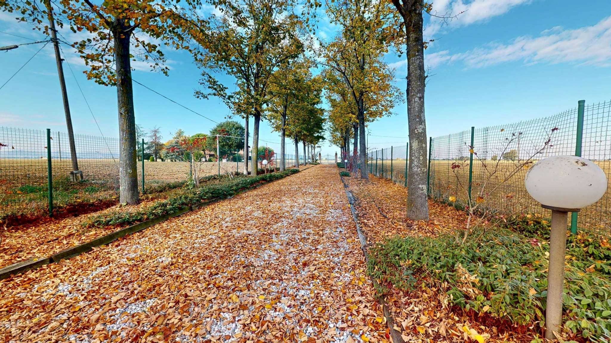 cspt2066-10272025_093633 - Single Family Villa via Cartara, Castel San Pietro Terme - photo 2