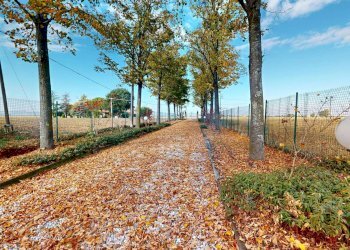 cspt2066-10272025_093633 - Single Family Villa via Cartara, Castel San Pietro Terme - photo 2